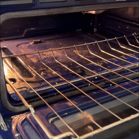 Pressurized Steam Clean Pro