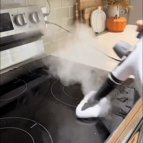Pressurized Steam Clean Pro